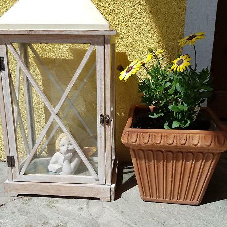 Appartement Koenigslehen Radstadt Zewnętrze zdjęcie