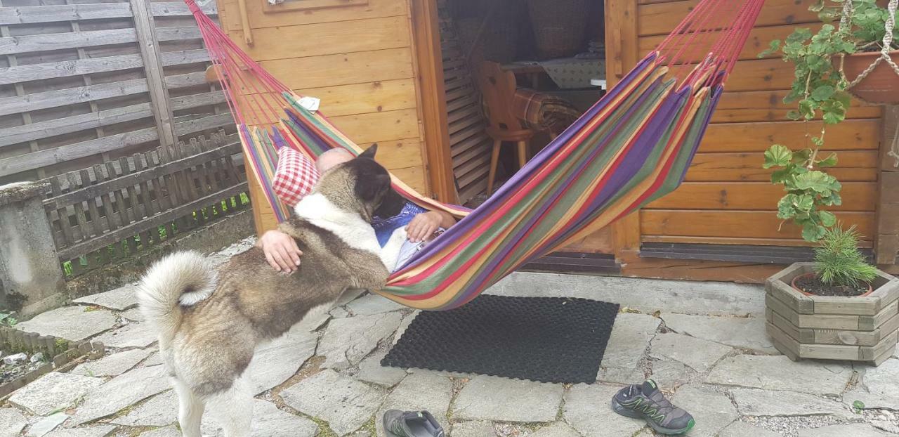 Appartement Koenigslehen Radstadt Zewnętrze zdjęcie